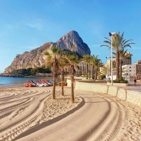 Hipocampos Calpe