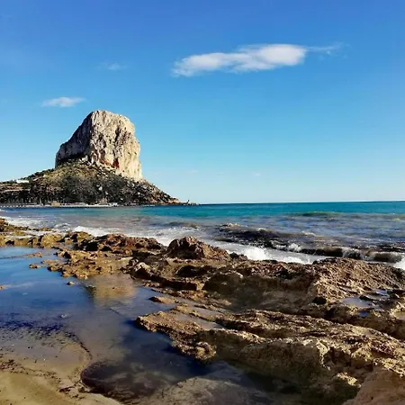 Hipocampos Calpe